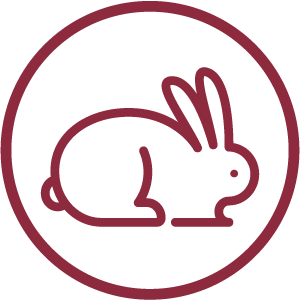 Icon of a bunny within a circle.